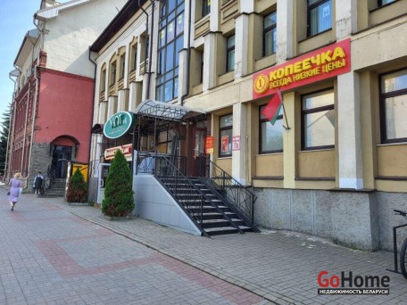Фрунзе просп., 17/а